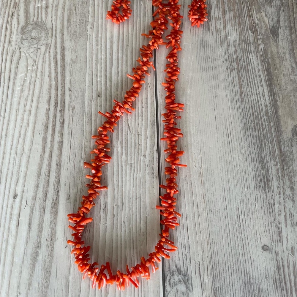 Old Pawn Branch Coral Set